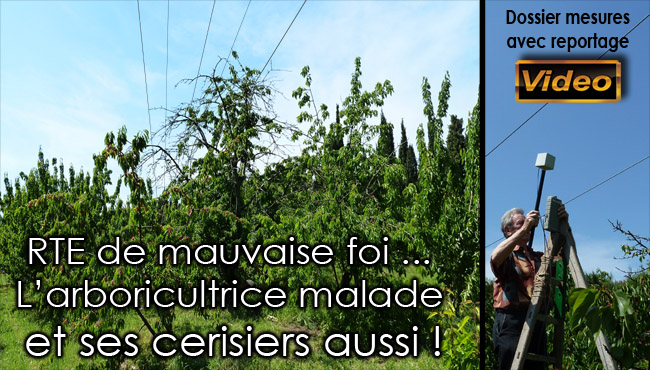 Ligne_Haute_Tension_Arboricultrice_malade et_cerisiers_aussi_Flyer_News_06_07_2012